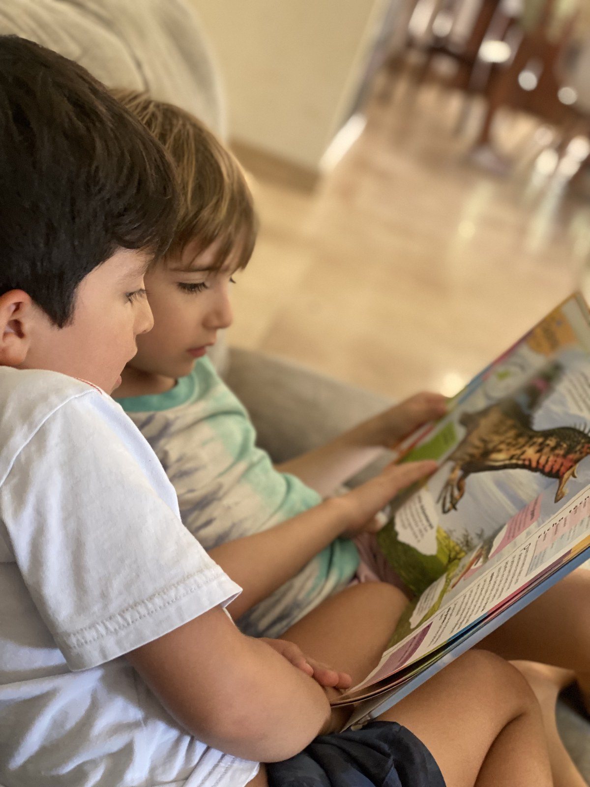 Dos niños pequeños viendo juntos un libro ilustrado en el sillón de la casa